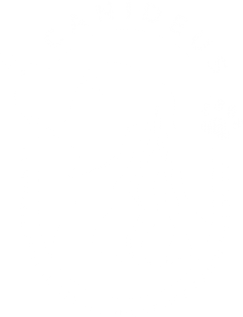 Canideus - Comportementaliste et Educatrice Canin en Positif - Logo blanc
